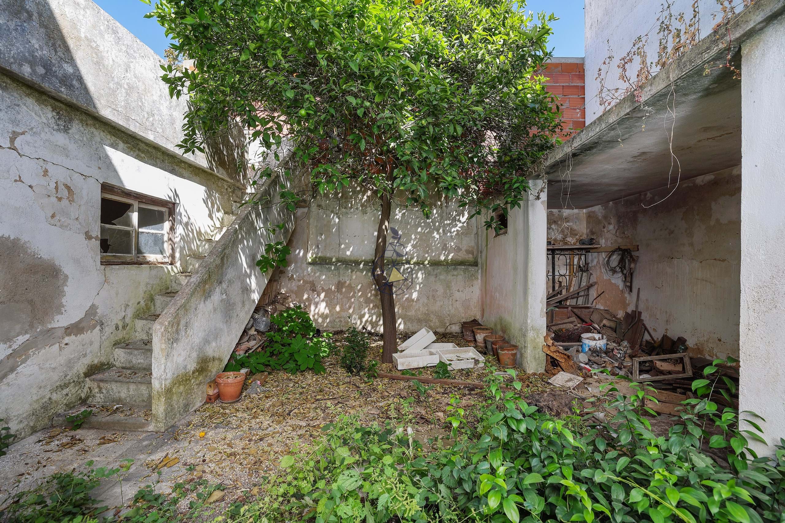 Photo by Pera Premium Properties